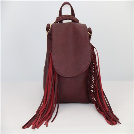 Tassel bag-10